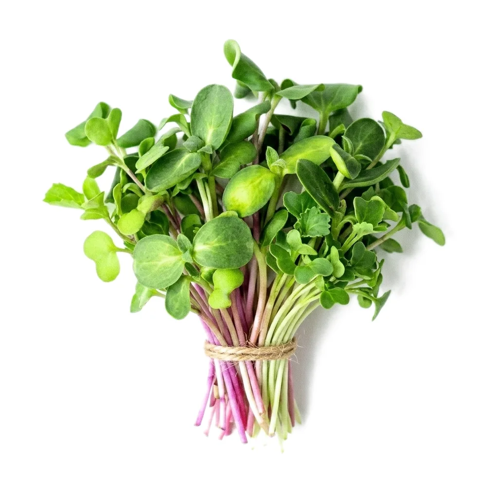 The Nutrition Lover Mix